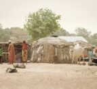 One in 11 people globally faced hunger in 2023 – UN