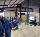 CAFRE sheep farm walk explores use of white clover in grazing