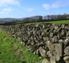 CAFRE to host free dry stone walling training courses