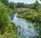 Review claims ‘fundamental flaws’ in New Zealand water targets