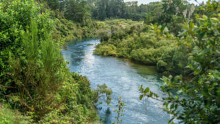 Review claims ‘fundamental flaws’ in New Zealand water targets