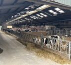 Dairy focus: Antrim father and son maximise farm efficiency