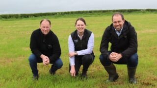 Food to remain a growth area for Marks and Spencer