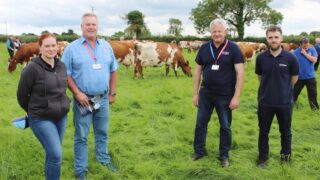 Ayrshire cattle breeding – the South African experience