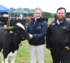 Grazing 650 dairy cows year-round in south Australia