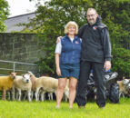 Ballyhivistock flock dispersal sale set for Ballymena Market