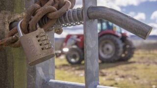 Theft of artificial insemination equipment in Co. Tyrone
