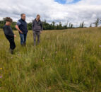 858ha of flower-rich grasslands in Fermanagh back on the map