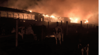 13-year-old girl charged with barn fire in Scottish Highlands
