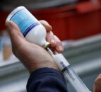 Continuing access to veterinary medicines in NI is crucial