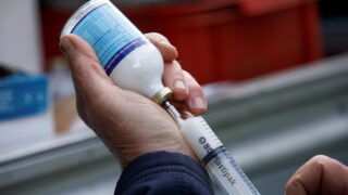 Continuing access to veterinary medicines in NI is crucial