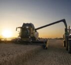 NFU urges arable farmers to complete 2024 harvest survey