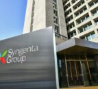 Syngenta reports 17% drop in sales in first half of 2024