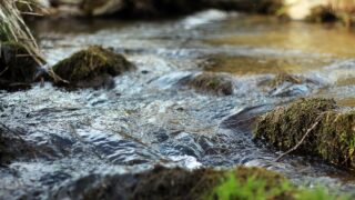 NIGTA supports plans to improve water quality in NI