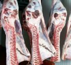 NI beef carcase weights remain strong as Irish weights decline