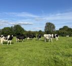 UK college farm aims to reduce carbon output of livestock