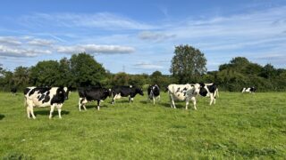 UK college farm aims to reduce carbon output of livestock