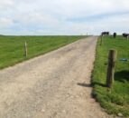 Controlling lameness issues before the autumn closes in