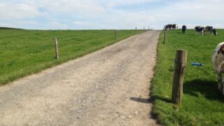 Controlling lameness issues before the autumn closes in