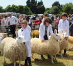 Opinion: No show like an agri show in Northern Ireland
