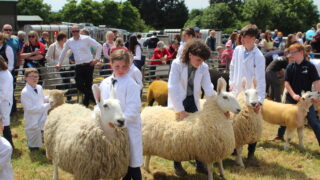 Opinion: No show like an agri show in Northern Ireland