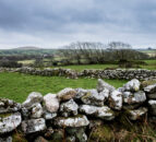 Cost of rural crime in Northern Ireland falls by over 20% – report