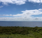 Lough Neagh has suffered from ‘decades of agricultural runoff’ – study