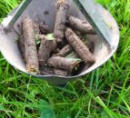 UK survey seeks farmers’ views on regenerative agriculture