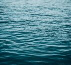 DAERA messaging on blue-green algae must be more regular – MLA