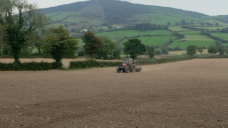 Advice and tips for a good autumn reseed establishment