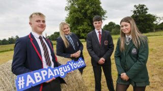 NI teenagers invited to enter ABP’s ‘Angus Youth Challenge’