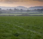 New Germinal varieties on England and Wales recommended list
