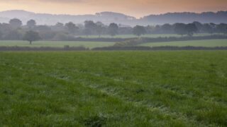 New Germinal varieties on England and Wales recommended list