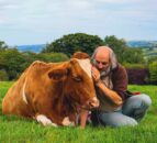 Former monk runs ‘cow cuddling’ service for stress relief