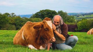 Former monk runs ‘cow cuddling’ service for stress relief