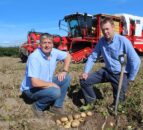 Tillage: Main crop potato harvest now underway in NI