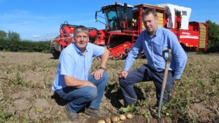 Tillage: Main crop potato harvest now underway in NI