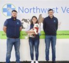 New Donegal vet practice aims to help with out-of-hours cover
