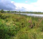 Agriculture the ‘principal cause’ of pollution in Lough Erne