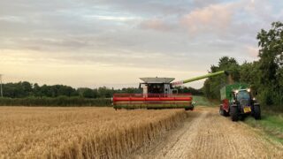 UK cereals harvest update amid sliding grain prices