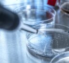 US confirms first human bird flu case without animal contact