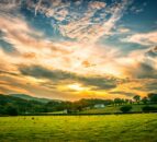 Could the rural economy one day pay the salaries of up to 500,000 NHS nurses?