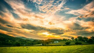 Could the rural economy one day pay the salaries of up to 500,000 NHS nurses?