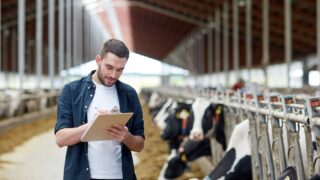 Take part in ICMSA/Agriland major new farmer survey