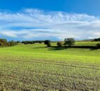 Campaigners want Govt to 'undo damage done to pesticide standards'