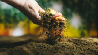 Origin Enterprises acquires two ecology businesses