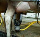Do you know how much high SCC is costing you?