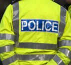 Police apprehend stolen gator following motorway chase