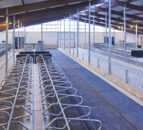 Dairy advice: Preparing sheds, scrapers and cubicles for winter