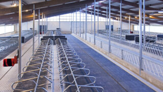 Dairy advice: Preparing sheds, scrapers and cubicles for winter